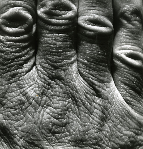 Mani. Il segno degli anni. I segni del tempo