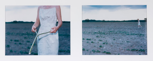 Drought 1989 From Tableau