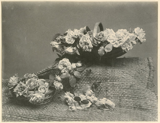 An Arrangement of Tea Roses of the Dijon Class