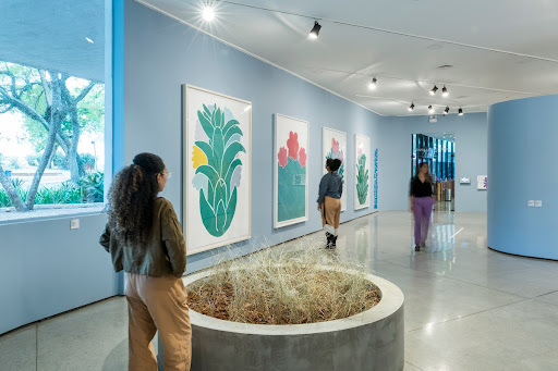 Exhibition Fertile Landscapes, by Santídio Pereira.