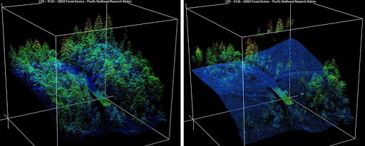 Before-and-After LIDAR Images from 2014 King Fire in El Dorado National Forest