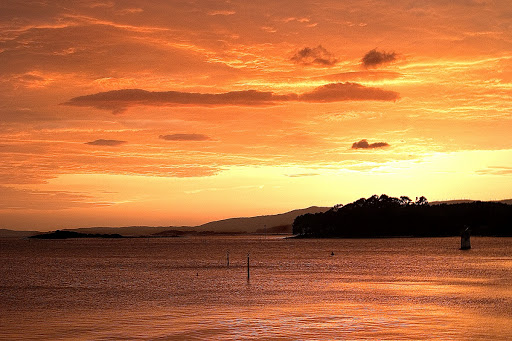 Isla de Cortegada