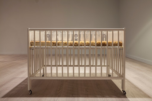 Toddler Promession® Toddler Promession®