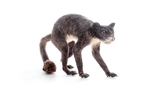 Unskilled, perhaps, but very versatile