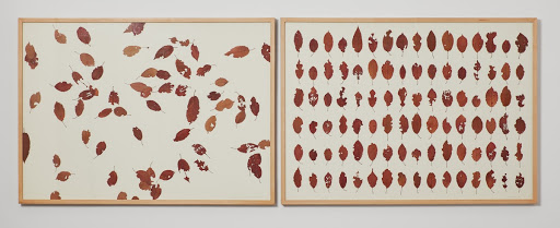 an afternoon under a cherry tree