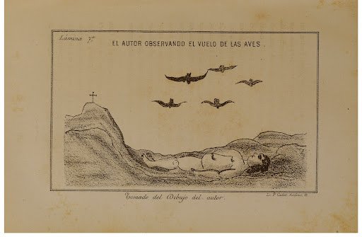 Plate 7 - An extravagant book