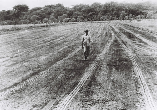 Candango – obra de terraplenagem