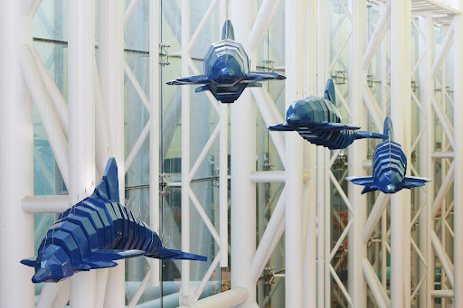 A fantasy Journey with Dolphin to the Sea