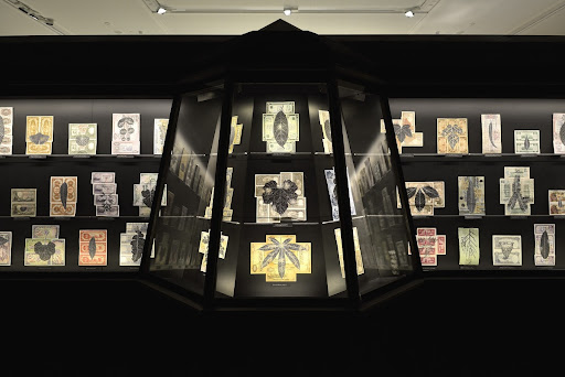 Fiona Hall: Wrong Way Time, installation view, Australian Pavilion