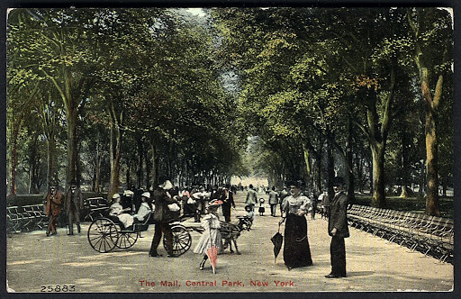 Postcard:The Mall, Central Park, New York