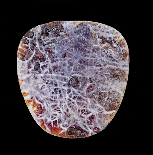 阳刻昆虫类动物纹玉片