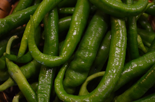 Peperoncino dolce dei Paesi Baschi e del Seignanx