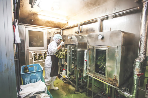 Cooling the Steamed Sasadango