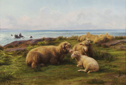 Sheep by the Sea