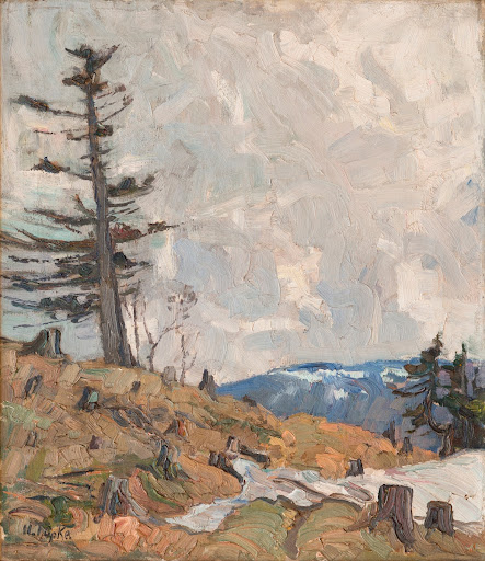 The landscape of the Karkonosze Mountains - windbreaks