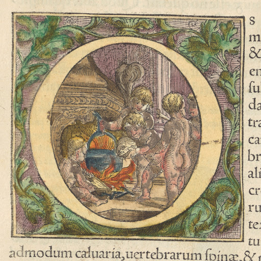 Historiated initial O from book one of De humani corporis fabrica libri septem