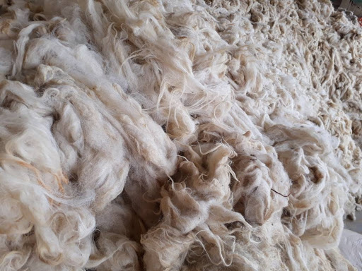 Soft Ghazni wool