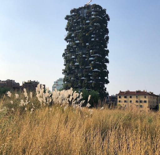 I giardini di Piet Oudolf