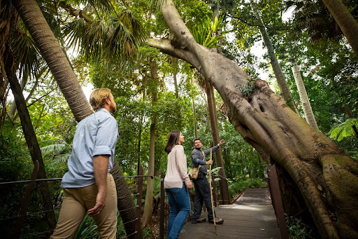 Tour guide pointing out native trees at the Royal Botanic Gardens Melbourne
