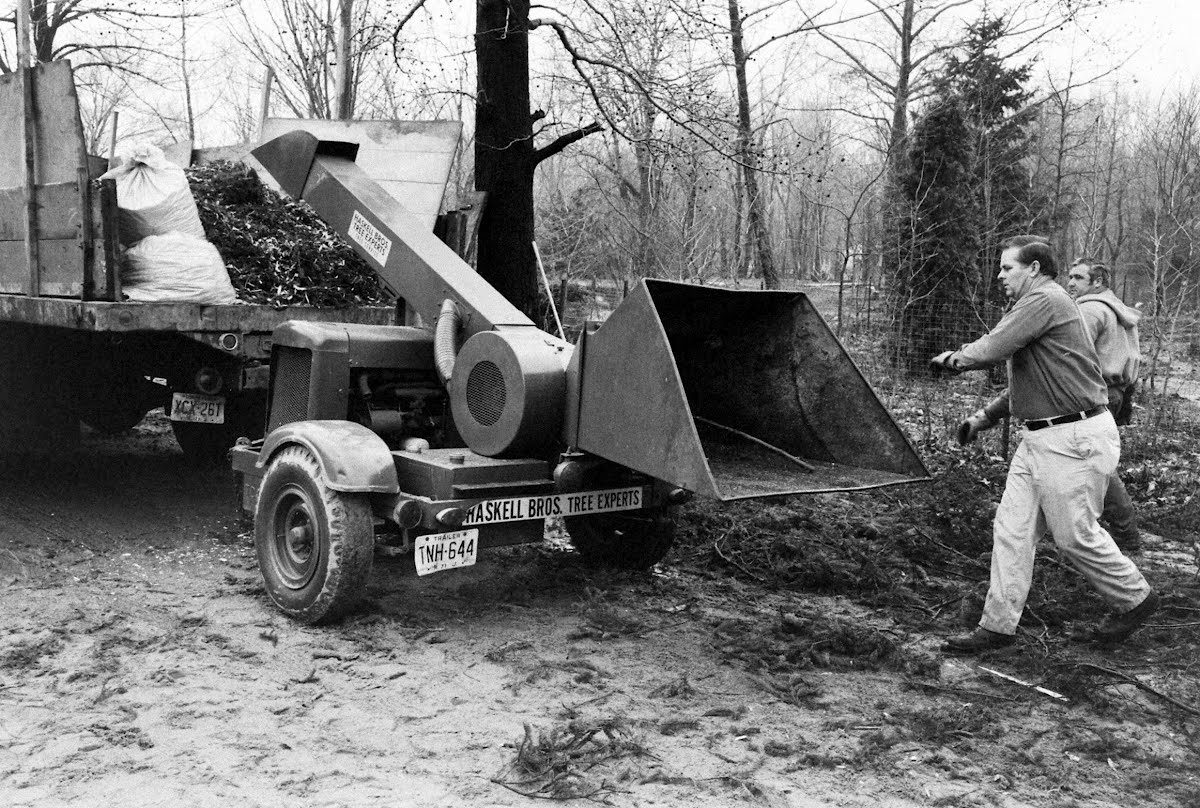 Rockefeller Christmas Tree
