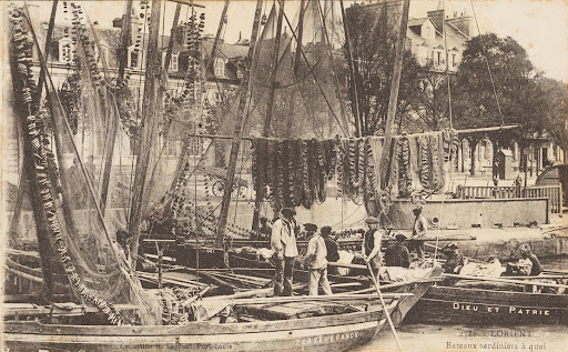 Bateaux sardiniers à quai