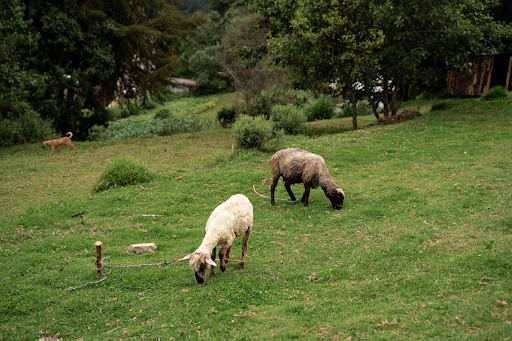 Sierra Zongolica en Tlaquilpa, Veracruz, México