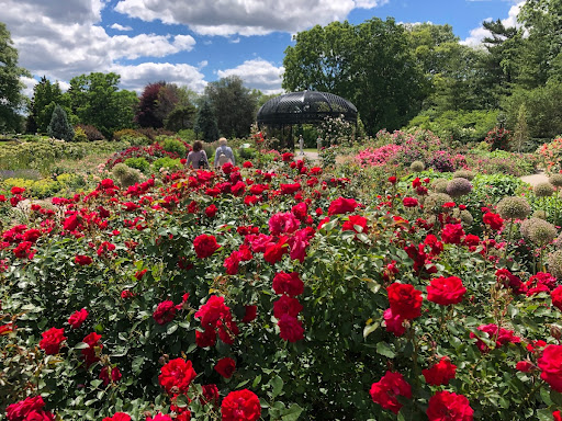 Centennial Rose Garden
