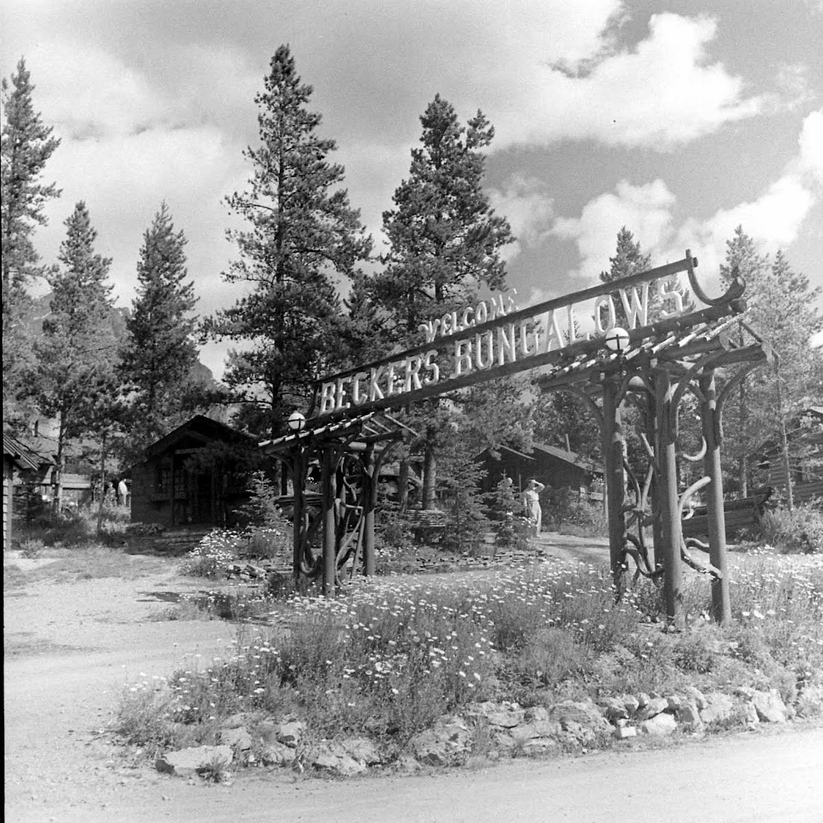 Columbia Icefield Highway