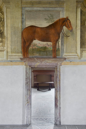 Sala dei Cavalli