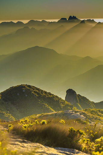 Campos de altitude, um ecossistema da Mata Atlântica