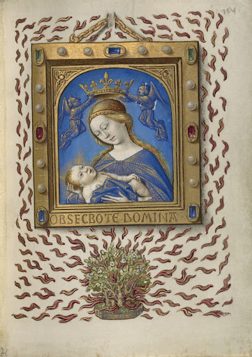 The Madonna of the Burning Bush