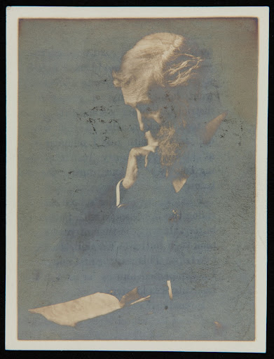 Portrait of John Muir, 1909