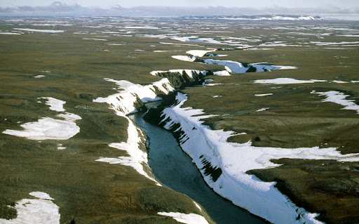 High Arctic Tundra, Northern Taymyr, Russia