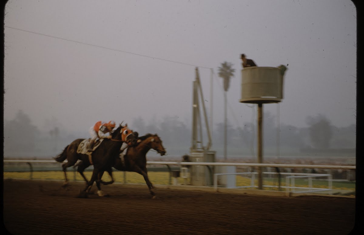 San Juan Capistrano Race, Santa Anita