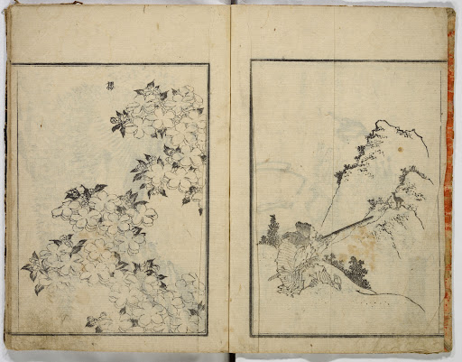 Illustrated book