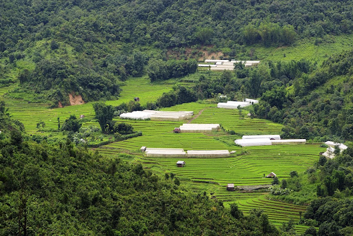 Rice field at Mae la noi, Maehongson