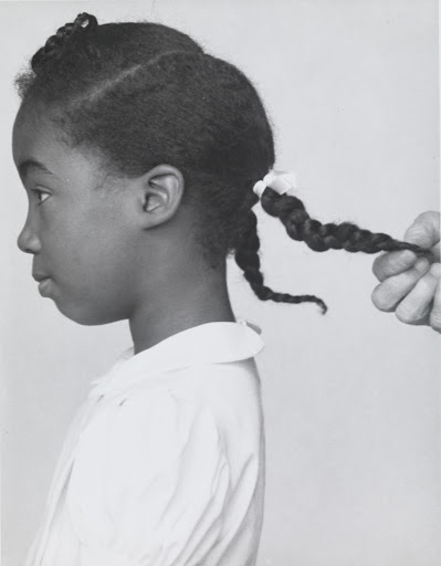 Reference Photo for "The Problem We All Live With"