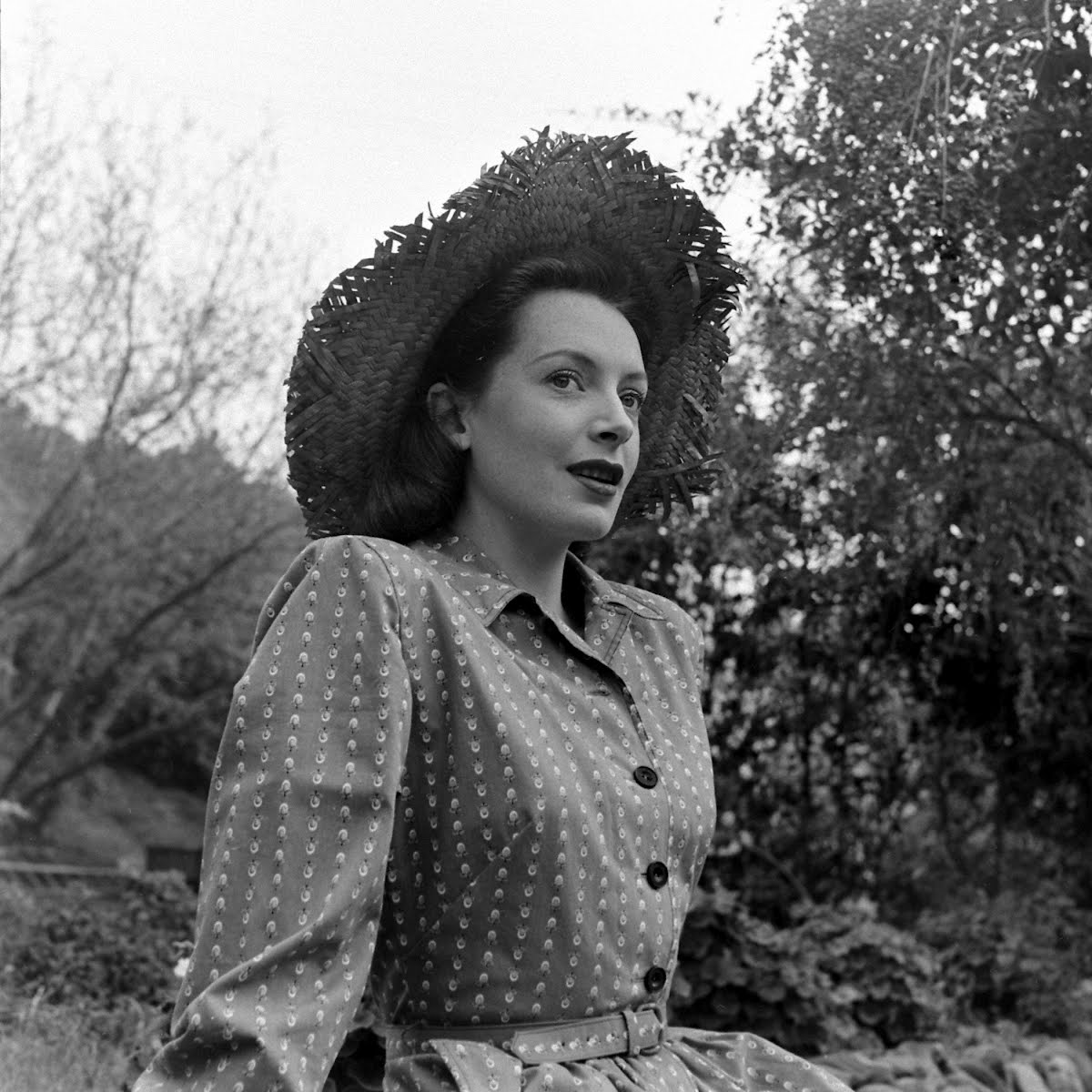 Deborah Kerr In Hollywood (Portrait)