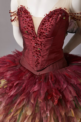 Detail of the tutu for the Fairy of Temperament in David McAllister's The Sleeping Beauty