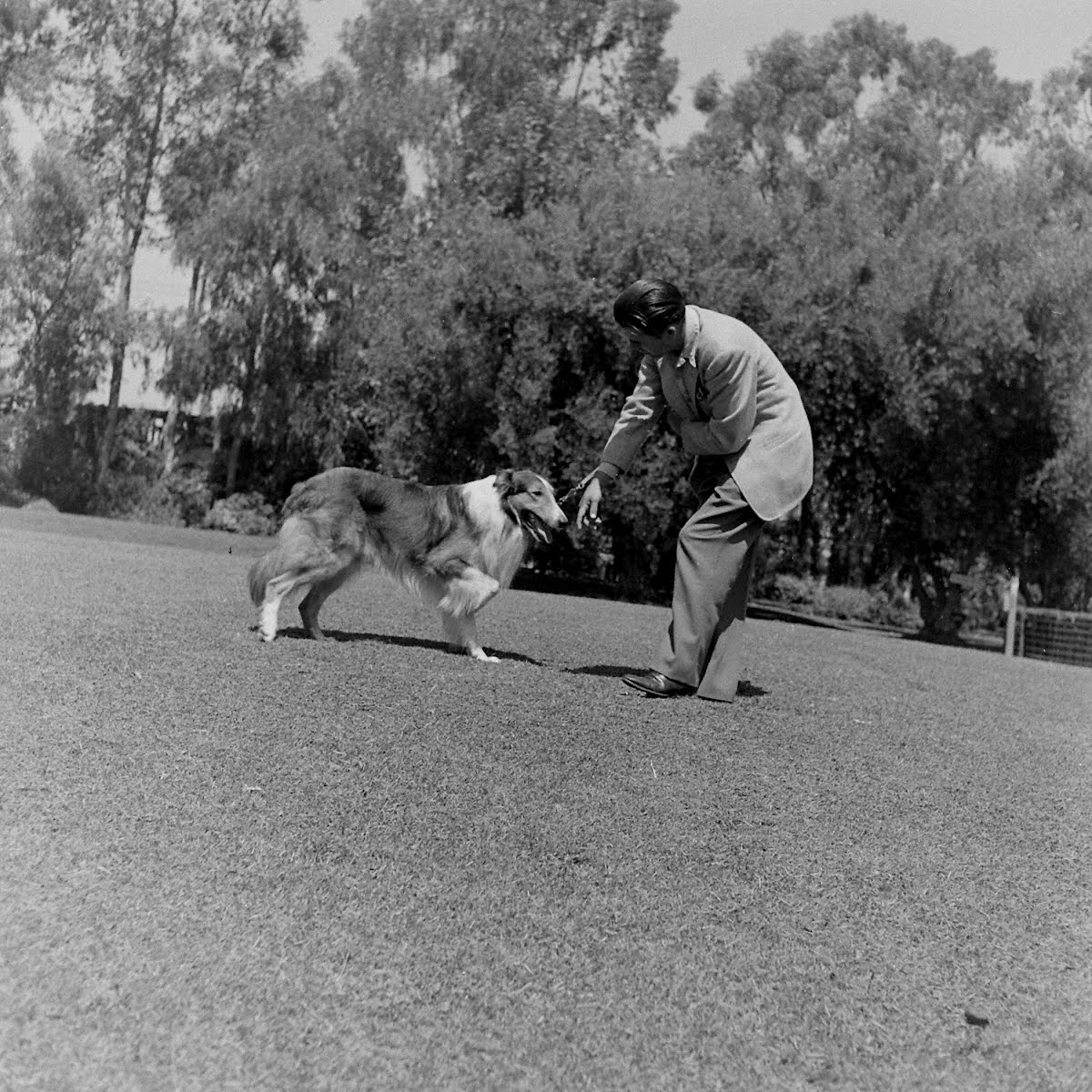Lassie & Russ Weatherwax