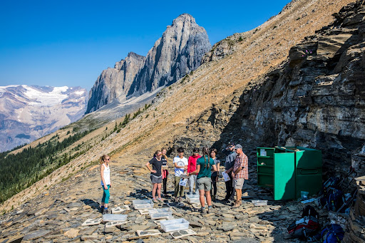 Visite guidée à la carrière Walcott