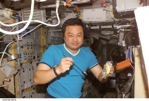 Chiao eats meal in the SM taken during Expedition 10