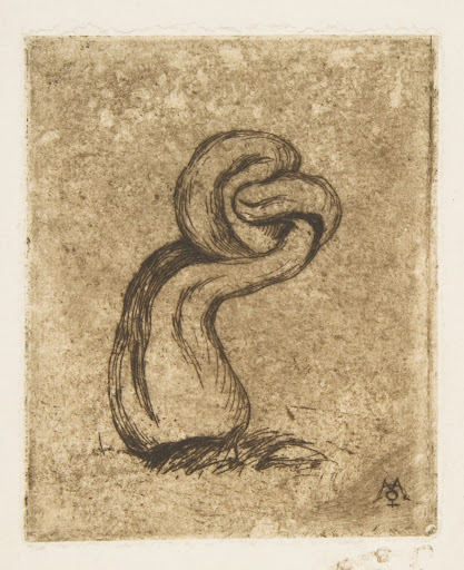 The puny Cryptogamia