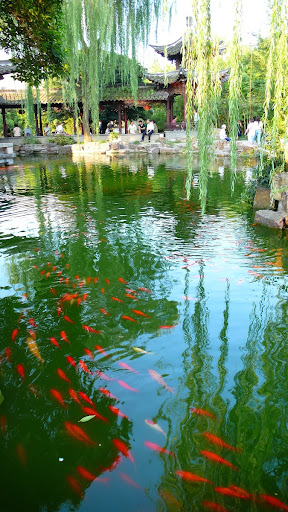 One Corner of Geyuan Garden-II