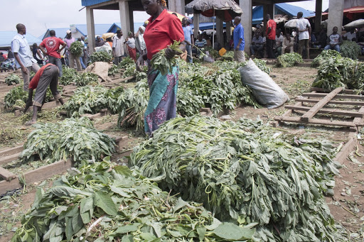Pumpkin leaves (Ugwu)