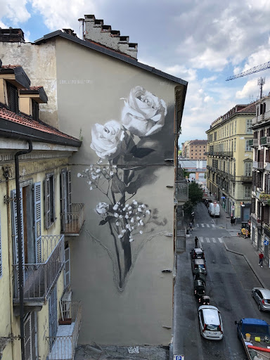 Come le più belle cose