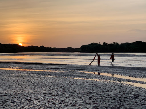 RE-LIVE, performance 43