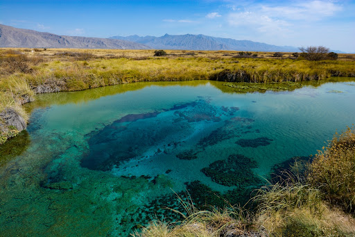 Cuatro Cienega´s blue pond