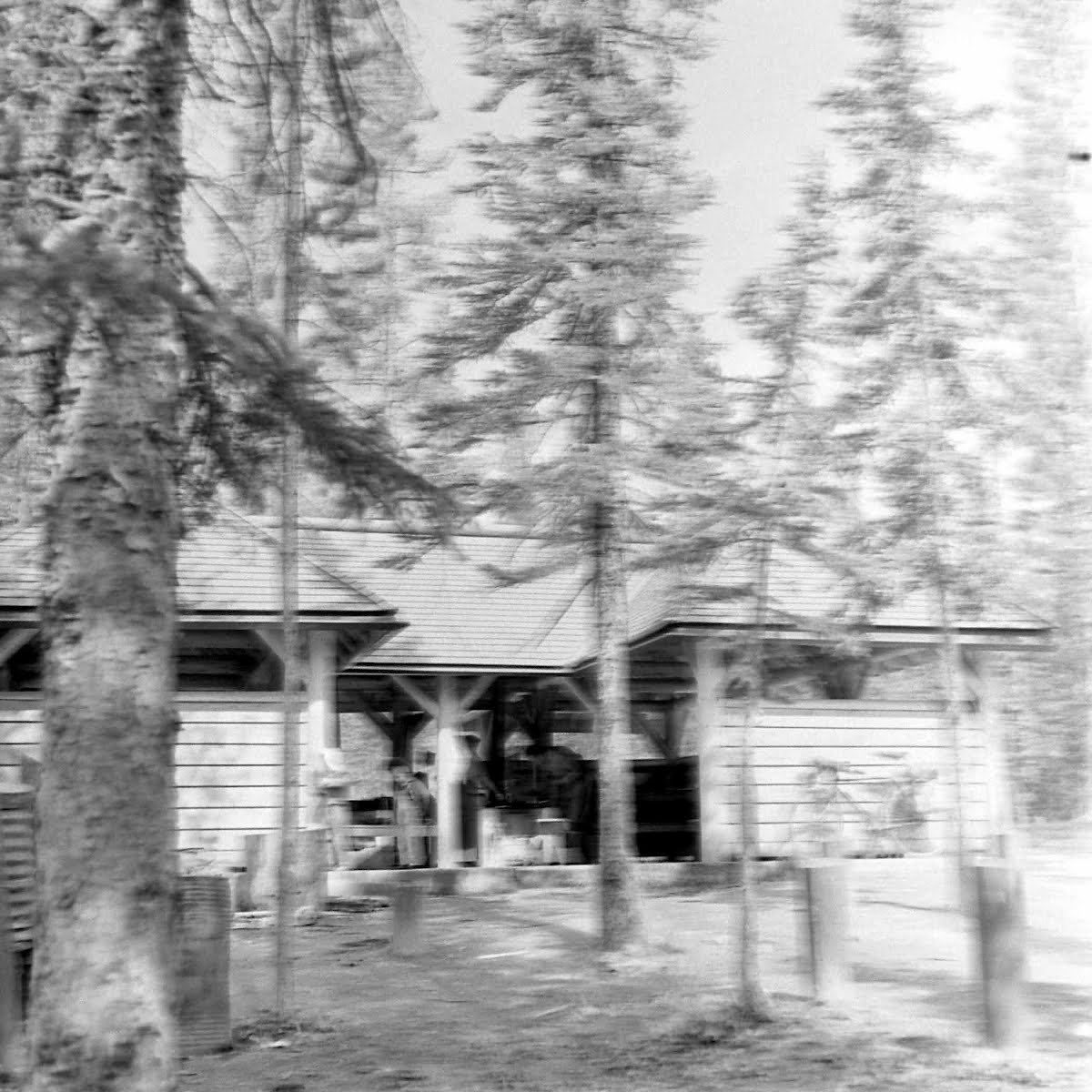 Columbia Icefield Highway