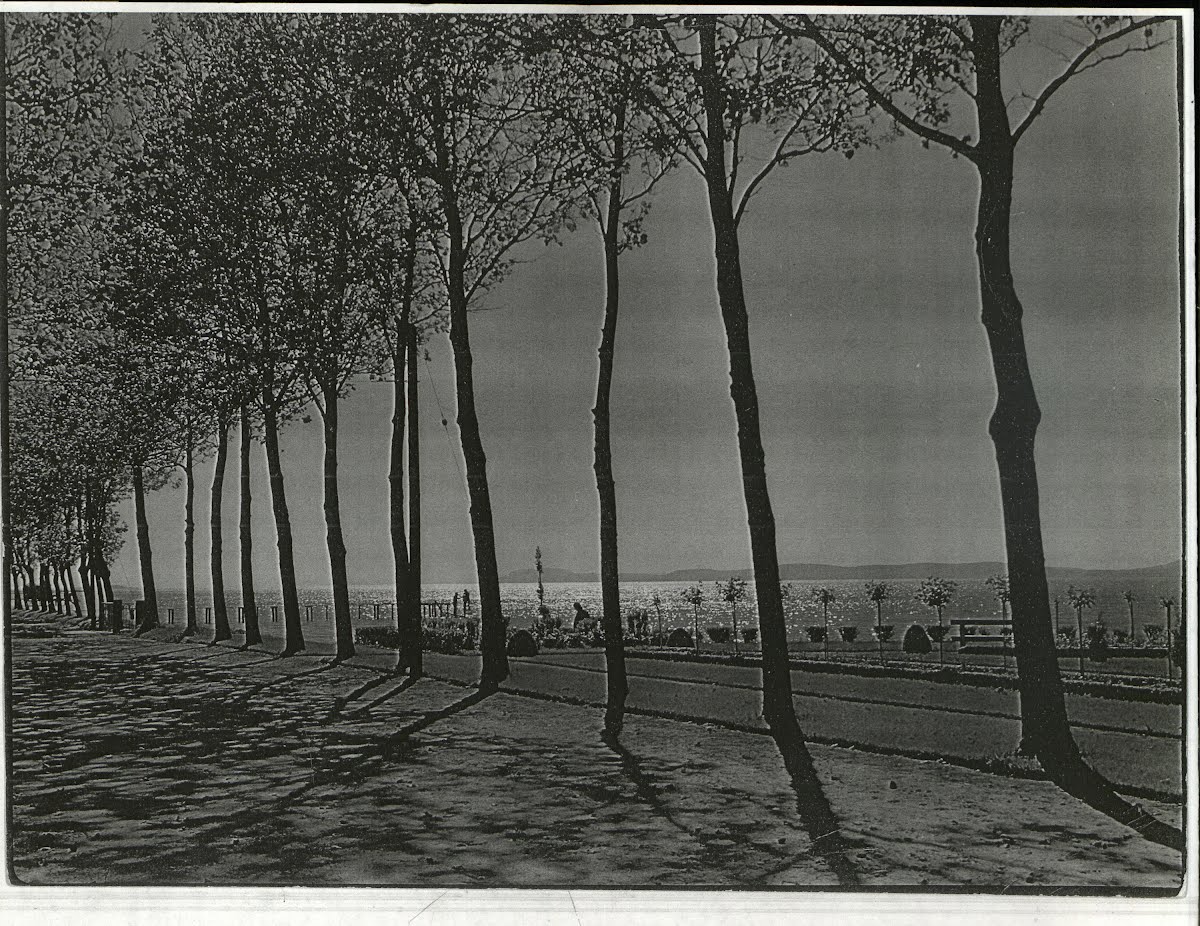 Ex Animals-Cattle Ex Animals-Sheep Ex Lakes-Hungary-Balaton Ex Rivers-Danube Ex Religion-Churches-Hungary